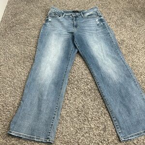Plus size Judy Blue jeans